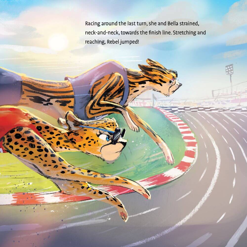 More Than Spots & Stripes - Image 9